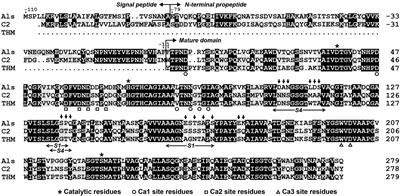 Extracellular Production, Characterization, and Engineering of a Polyextremotolerant Subtilisin-Like Protease From Feather-Degrading Thermoactinomyces vulgaris Strain CDF